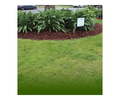 Local Garden Services Melbourne | Gardening And Maintenance Services | Bayside Gardening