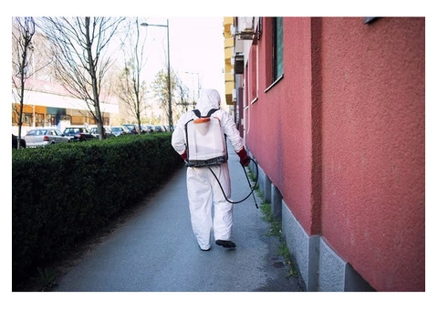 Make your Property Healthy and Hygienic with Residential Pest Services
