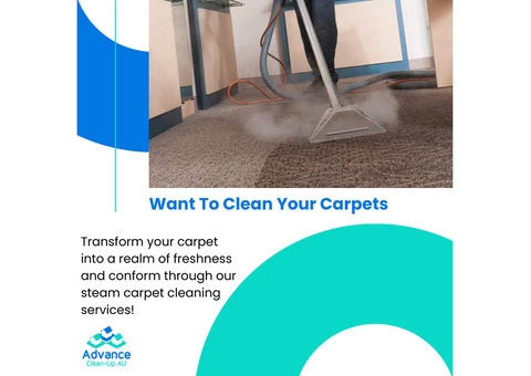 Domestic Carpet Cleaning Service