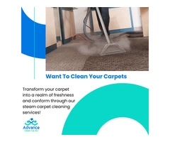 Domestic Carpet Cleaning Service