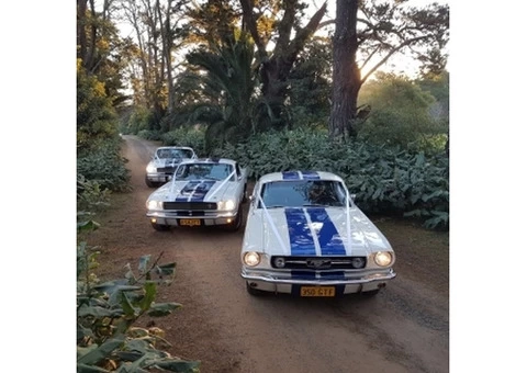 Hire Ford Mustang In Sydney & Ride In Style - 2/2