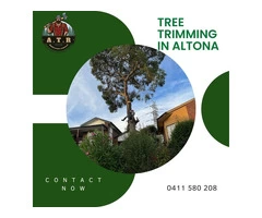 Hire Your Ultimate Tree Trimming Company