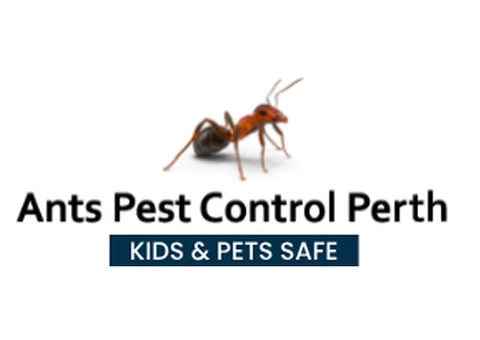 Ants Pest Control Perth | Ant Control Perth | Ant Treatment Perth