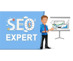 Renowned SEO Experts in Brisbane