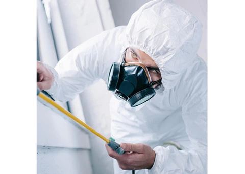 Commercial Pest Control Services in Sydney - 2/2