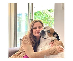 Emergency Vet Services at South Lake Veterinary Clinic