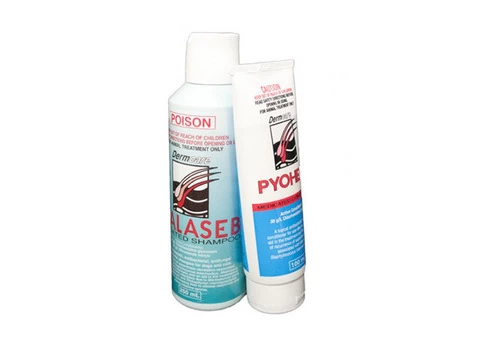 Buy Malaseb Dermcare Shampoo + Pyohex Conditioner Combo Pack for Dogs Online