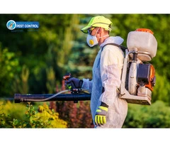 Effective Pest Control Services in Adelaide