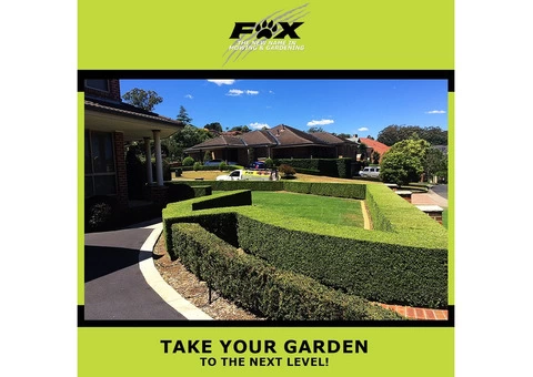 Lawn And Garden Bug Spraying Brisbane