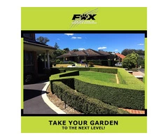 Lawn And Garden Bug Spraying Brisbane