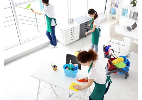 Best Springtime Cleaning Service In Sydney
