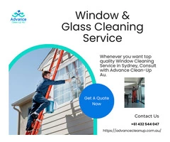 Window Cleaning Service
