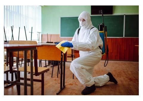 Professional school cleaning services in Sydney | Multi Cleaning