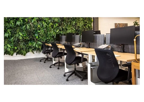 Get Commercial Cleaning Services at Affordable Prices