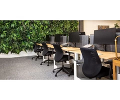 Get Commercial Cleaning Services at Affordable Prices