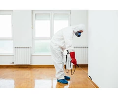 Pest Control Balwyn | same day pest control balwyn
