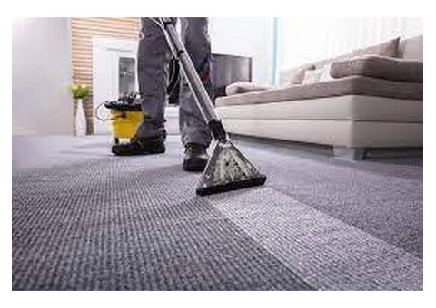 Professional & Reliable Carpet Cleaners in Bunbury