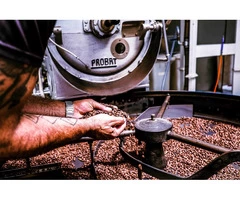 Best Coffee Roasters Melbourne | Gigante Techniflavour