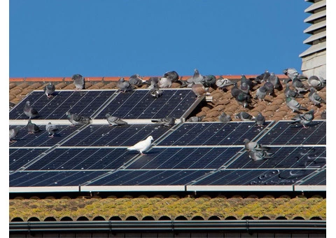 Harnessing the Sun's Power with Flexible Solar Panels in Sydney