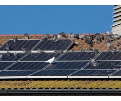 Harnessing the Sun's Power with Flexible Solar Panels in Sydney