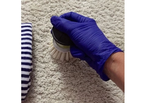 Your trusted professional carpet stain removal company