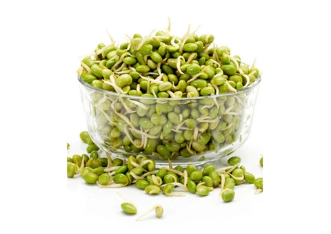 Nourish Your Body With Healthy Vegetarian Meal Delivery Service