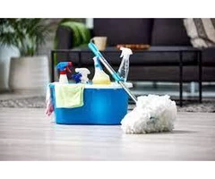 Ultimate House Cleaner Guide