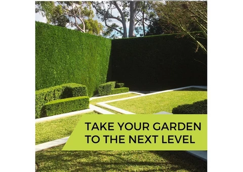 Professional Turf Installation Brisbane