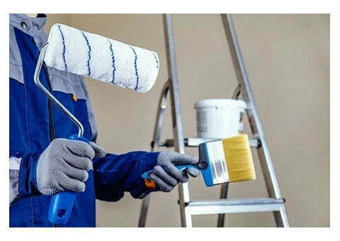 Transform Your Environment with Expert Commercial Painting Services