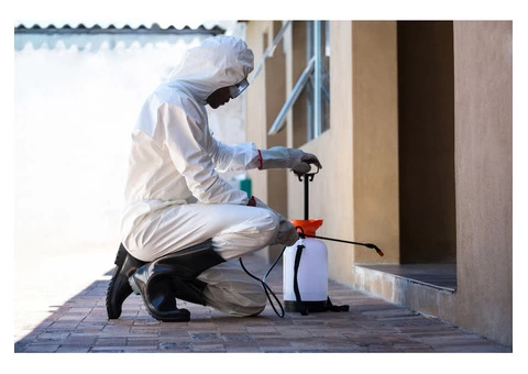 Residential Pest & Termite Control Service in Sydney by Dirt2Neat