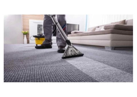 Professional Rug Cleaning Experts in Sydney