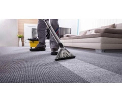 Professional Rug Cleaning Experts in Sydney