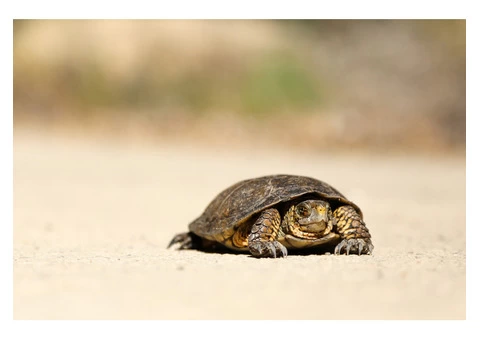 Are you looking for a motivational pause for your corporate team? - 3/5
