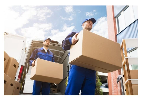 Need Superior Cronulla Removals Services? Call Our Experts for Support!