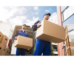 Need Superior Cronulla Removals Services? Call Our Experts for Support!