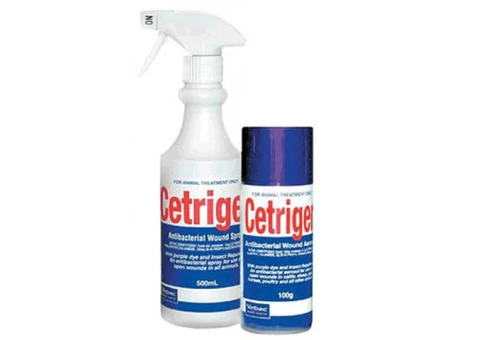 Virbac Cetrigen Antibacterial for Dogs Online in Australia