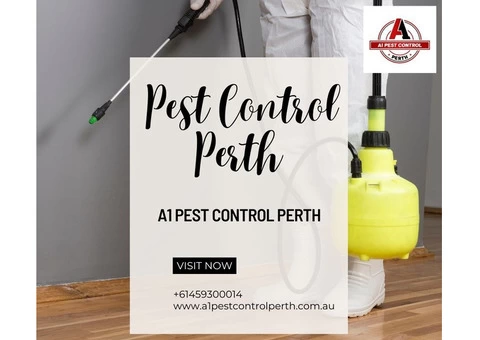 Your Reliable Partner for Pest Control in Perth is A1 Pest Control Perth.