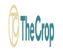 Photography Services in Sydney for Memorable Images