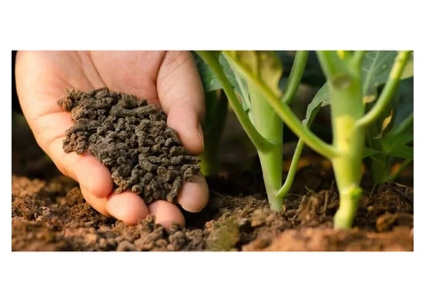 Establish a Healthy Garden With Our Experienced Soil Advisor in Melbourne