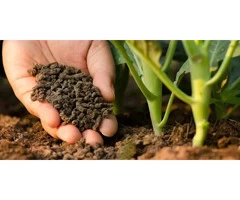 Establish a Healthy Garden With Our Experienced Soil Advisor in Melbourne