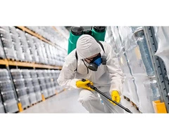 Advanced Pest Control Solutions for a Pest-Free Environment in Sydney