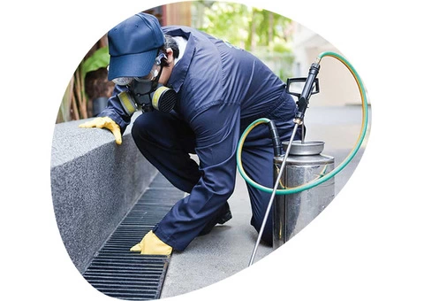 Advanced Pest Control Solutions for a Pest-Free Environment in Sydney - 3/3