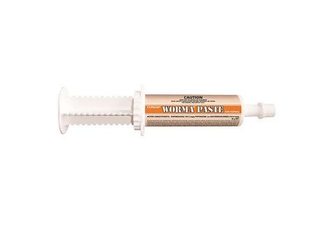 Farnam Worma for Horses | DiscountPetCare