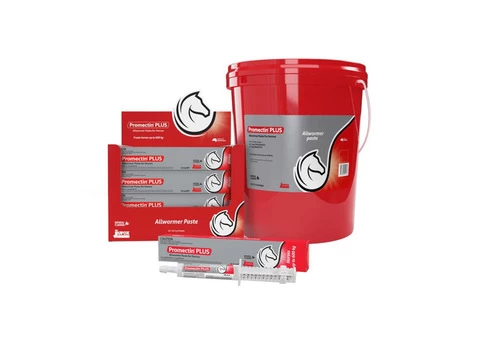 Promectin Plus for Horse : Buy Promectin Plus Wormer Online