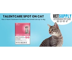 Buy Talentcare Spot On Cat Flea & Worm Treatment for Kittens and Small Cats Up to 4kg Online