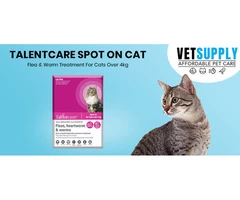 Buy Talentcare Spot On Cat Flea & Worm Treatment for Cats Over 4kg Online