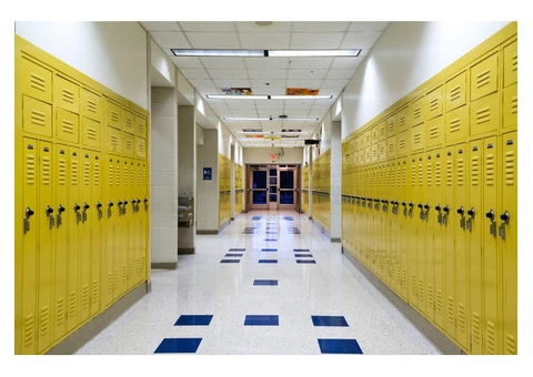 Standard Locks vs. Electronic Locking Systems: Which Is Right for Your Office Lockers?