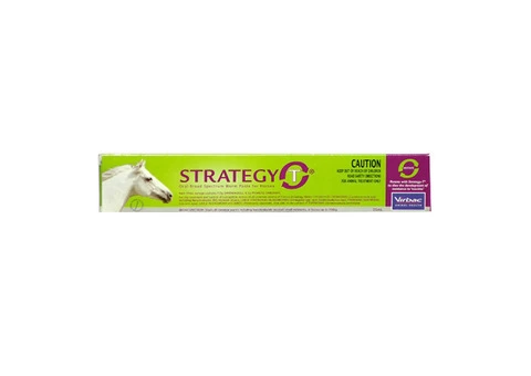 Buy STRATEGY-T Paste for Horse Online