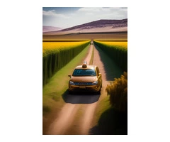 Turbocharge Your Taxi Business with Winning Strategies