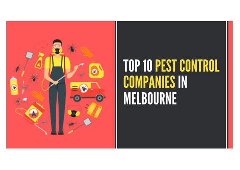 Top 10 Pest Control Companies In Melbourne